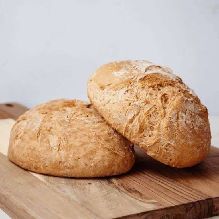 microbiota intestinal